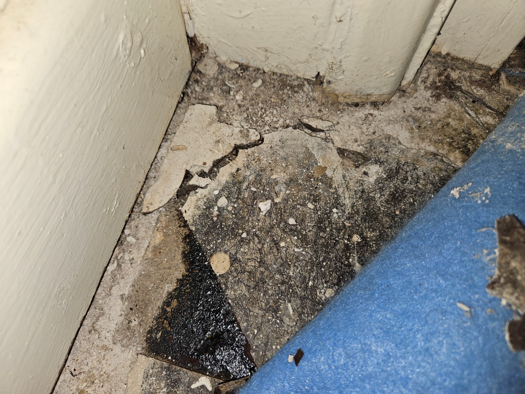 Crumbling bitumen residue and broken floor tile fragment in the corner of a room next to painted skirting.