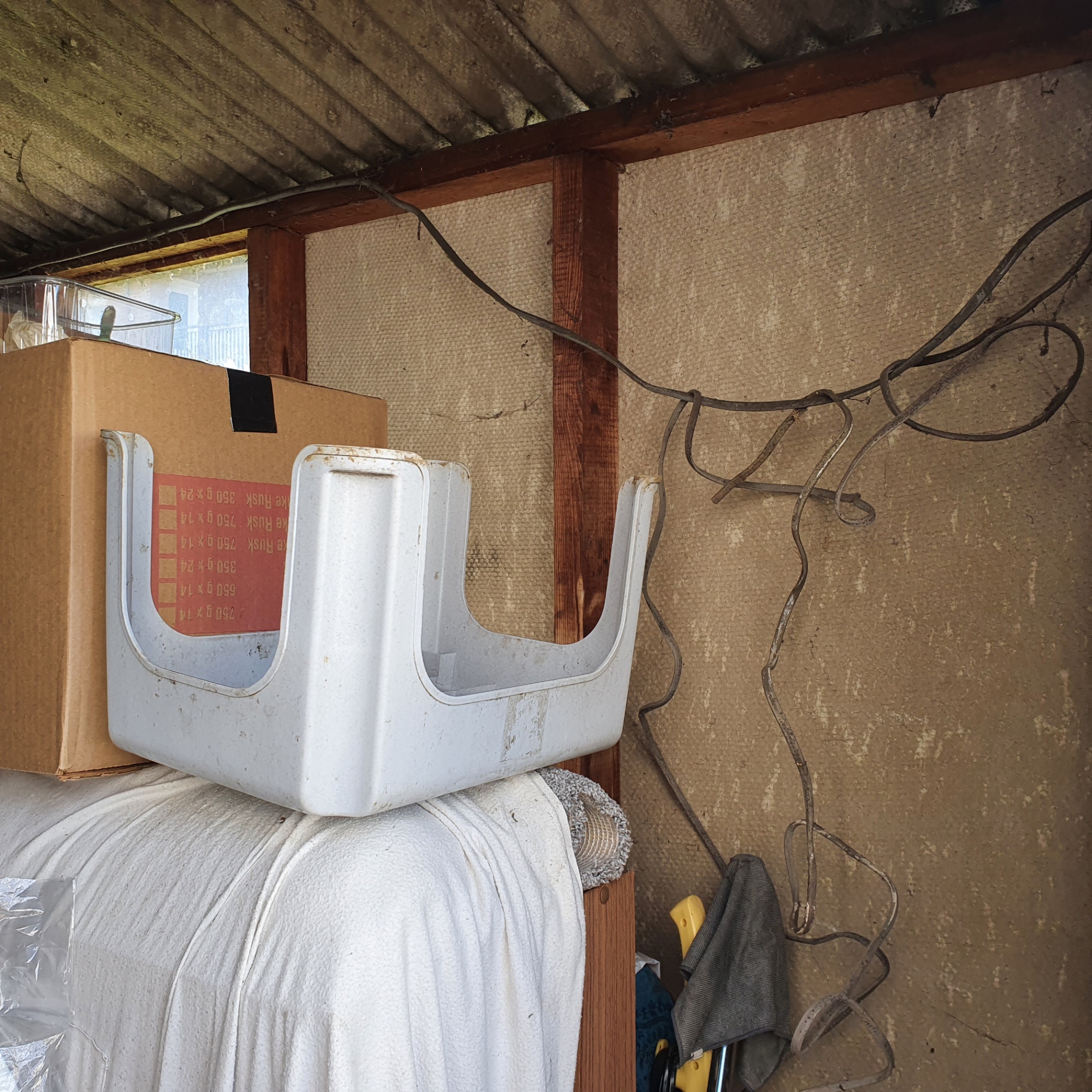 Asbestos insulating board panel fitted between timber studs in a domestic outbuilding.