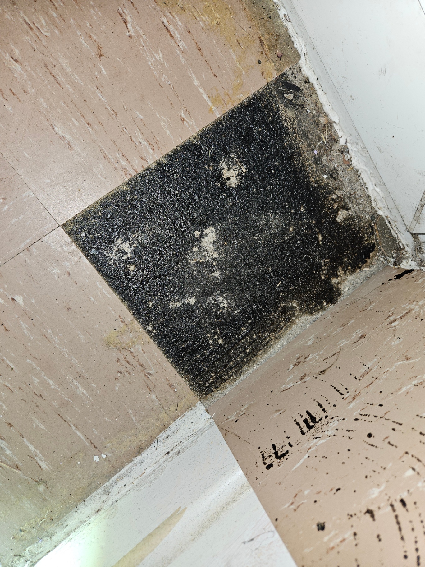 Pink-beige thermoplastic floor tile next to exposed black bitumen adhesive in a corner of a room.