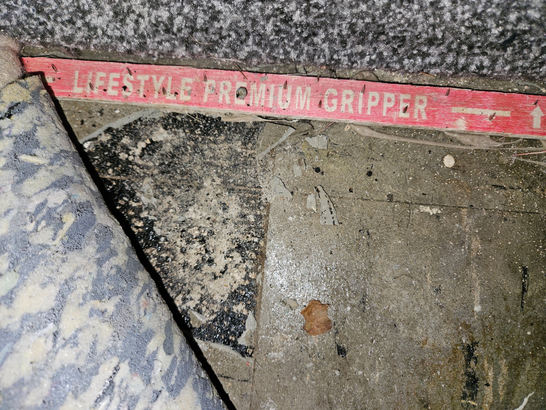 Black bitumen adhesive residue on a concrete floor exposed beneath a lifted carpet and 'Lifestyle Premium Gripper' strip.